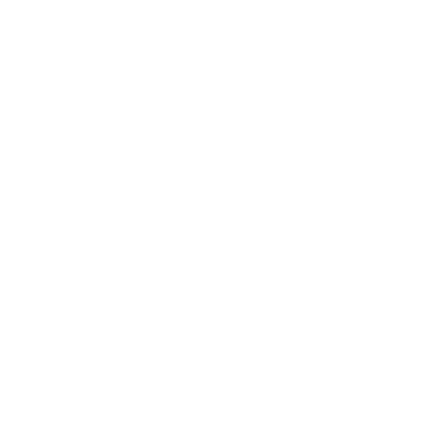 IMG4.png